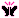 web𑗂